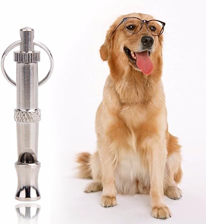 dog training supplies obedience
