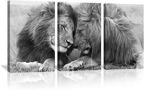 picture Lioness Black And White Drawing black and white portrait of beautiful lion 3 panels lioness and lion picture prints on canvas for living room bedroom animal poster prints for home
