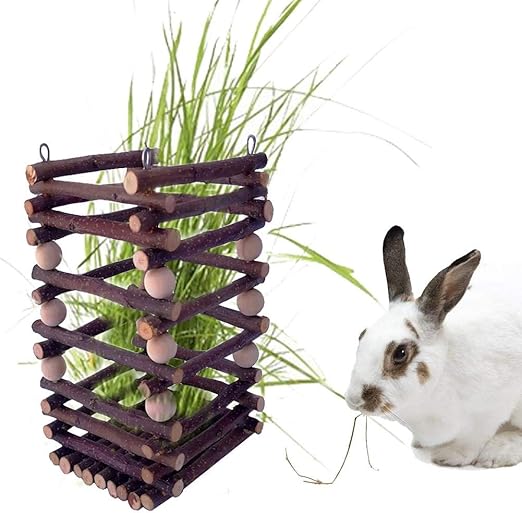 rabbit hay amazon