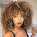 Mildiso Short Wigs for Black Women Afro Curly Wig Kinky Wigs African American Hair Wig Heat Resistant with Wig Cap M022