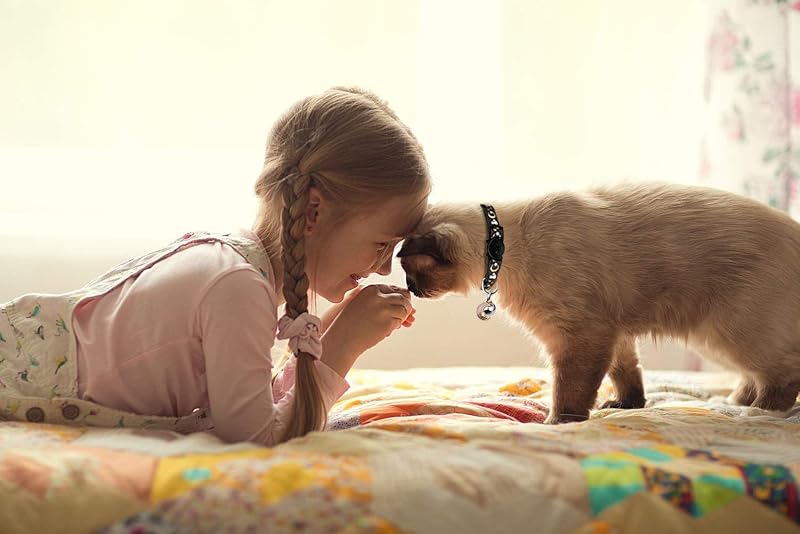 2 colares de gatos com luas de sino, estrelas, colar seguro ajustável para gatinhos com pendente que brilha no escuro (preto e roxo) — foto 7 de 7
