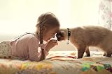 Baeuppit 2Pcs Breakaway Cat Collars Glow Moon Stars Safe Adjustable Kitten view 7