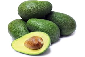 TANG STORE Pack of 6 Good Size Fuerte Avocados, Freshly Picked, Organically Grown in Fallbrook, California 7 Oz Each