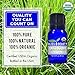 Organic, Cedarwood Oil - Premium 100% Pure, USDA Organic, Natural Therapeutic Grade, baby-oils, hair-treatment-oils, body-oils, facial-oils, scented-oils (10 ml)