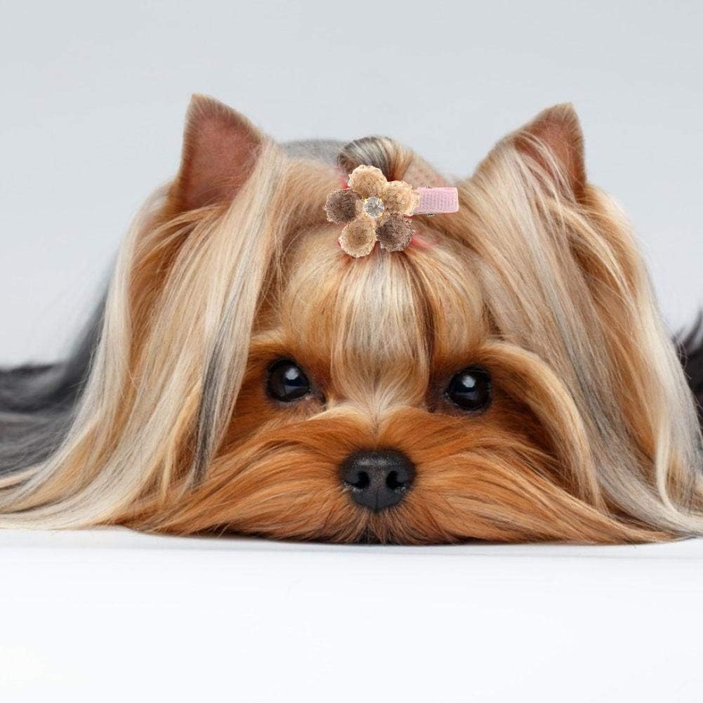 Pssopp Pet Hair Clips for Dogs and Cats - 10 Pack Cute Floral Pet Grooming Accessories with Alligator Clips - Image 3