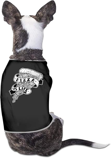 Amazon Com Agilitynoun Dog T Shirt Clothes Pizza Life Doggy
