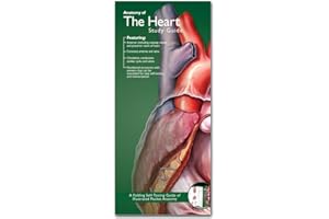 Anatomical Chart Company's Illustrated Pocket Anatomy: Anatomy of The Heart Study Guide