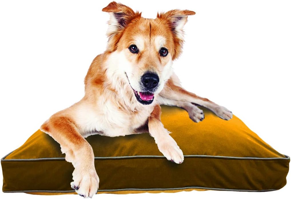 Amazon Com Yogibo Doggybo Comfortable Doggy Bed Soft
