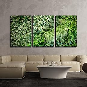 Green Leaf Wall Texture Background x3 Panels