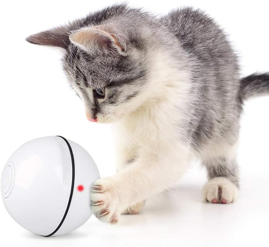 smart cat ball