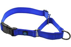 Max and Neo Nylon Martingale Collar - We Donate to a Dog Rescue for Every Collar Sold (Medium, Blue)