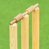 FORTRESS Spring Back Cricket Stumps 28in Pro English Ash Freestanding view 4