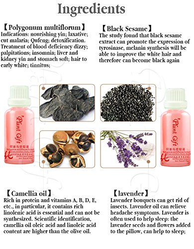 Amazon Com Plant Gift Polygonum Multiflorum Extract Activate