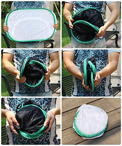 Insect and Butterfly Habitat Terrarium Pop-up - 23.6 Inches Tall (White)