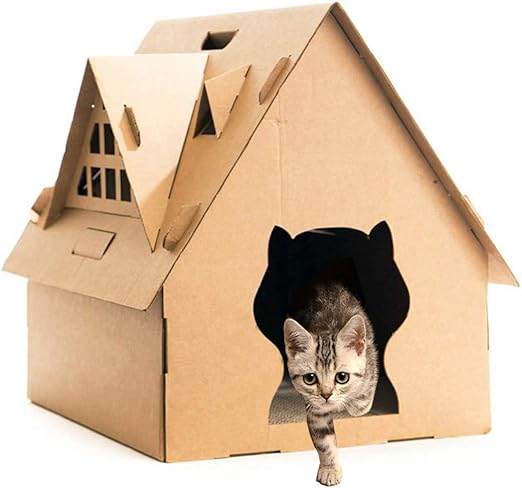 kitty condo amazon