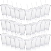 Sieral Cups with Straws and Lids Kids Tumbler with Straw Reusable Water Bottle Iced Coffee Travel Mug Adults Plastic Cups for Parties 16 oz (Clear Colors,30 Pack)