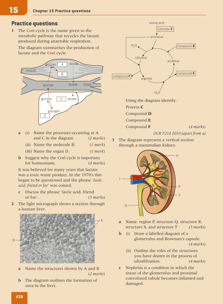 [- A Level Biology A for OCR Student Book (Science a Level for Ocr) -]