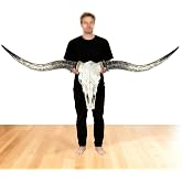 JUNTHORB 71in Longhorn Wall Decor, Extra Large Authentic Croissant，Cow Skull Wall Decor，cow horns, cow horn wall decoration, long horn skull，Handmade Farmhouse Decor