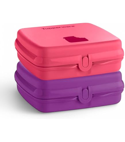 Amazon.com: Tupperware 1 pc Large Sandwich Keeper : Home & Kitchen