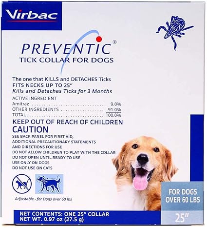 exo terra bearded dragon starter kit