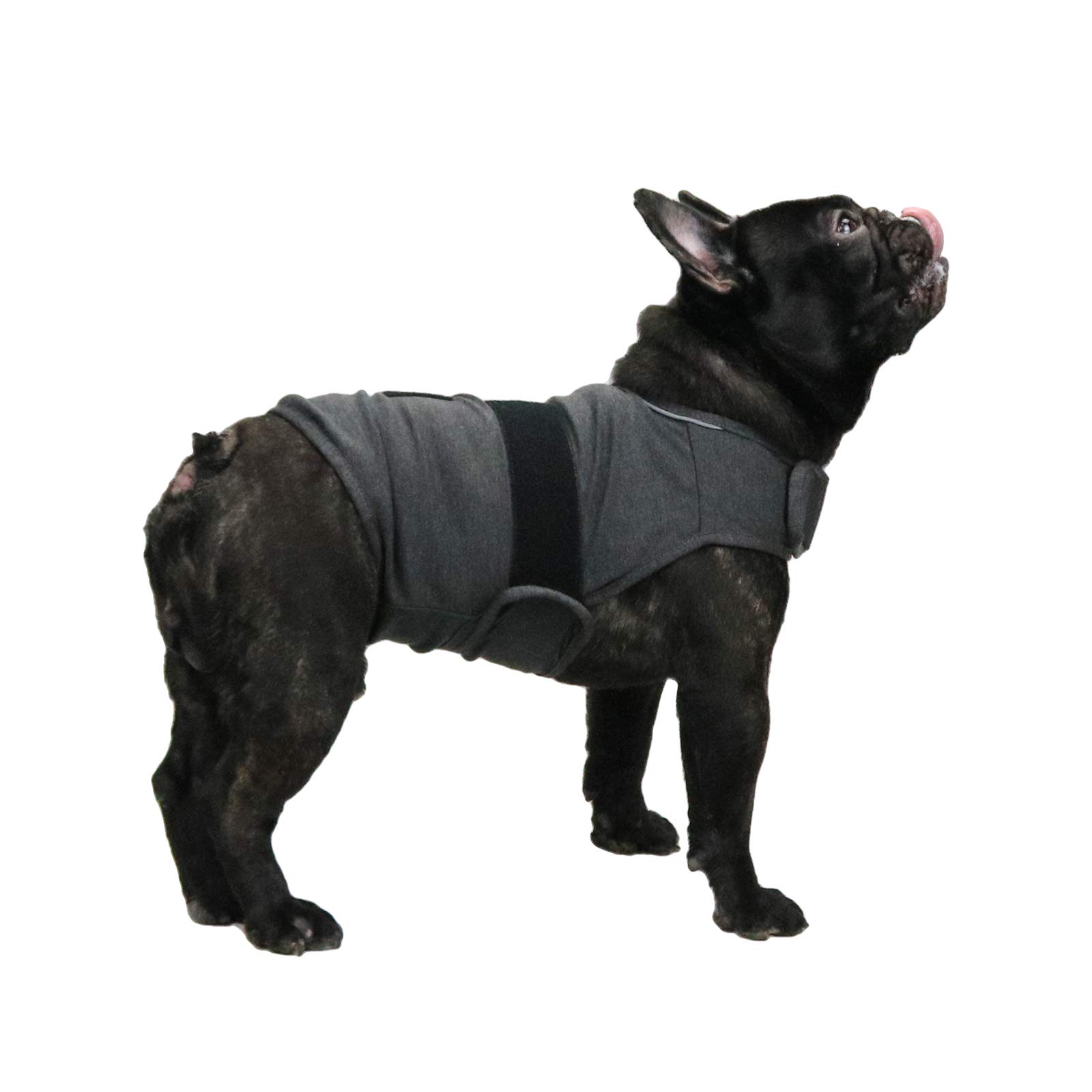 cattamao Comfort Dog Anxiety Relief Coat, Dog Anxiety Calming Vest Wrap,Thunder Shirts Jacket for XS Small Medium Large XL Dogs(Gray M) — image 1