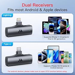 Leettus 2pcs Dual Receivers Mini Microphone for