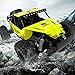 KingPow 2WD Rc Car 2.4GHz Radio Remote Control Truck 1:16 Electric Rock Crawler Control Cars Off Road High Speed 25KM/h-Yellow