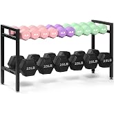 Kynbnire 31" Adjustable 2-Tier Dumbbell Rack, Home Gym Weight Storage Rack, 250 lbs Capacity (Rack Only)