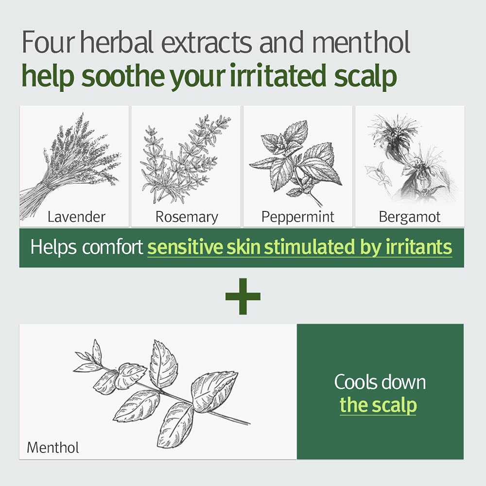 Bouquet Garni NARD Scalp Deep Cleansing Shampoo 33.8 Fl Oz - Natural Surfactant Anti Dandruff Shampoo for Itchy Dry Scalp - Natural Calming Ingredients Lavender Rosemary Argan Jojoba Oil Amino Acids