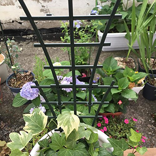 Olpchee 10Pcs Plastic Mini DIY Flower Support Garden Trellis Superimposed Plant Winding Climbing Supports Dark Green