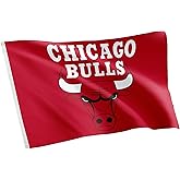 Desert Cactus Chicago Bulls Flag NBA 100% Polyester Indoor Outdoor 3x5 feet National Basketball Association Team Flags (Flag #2)