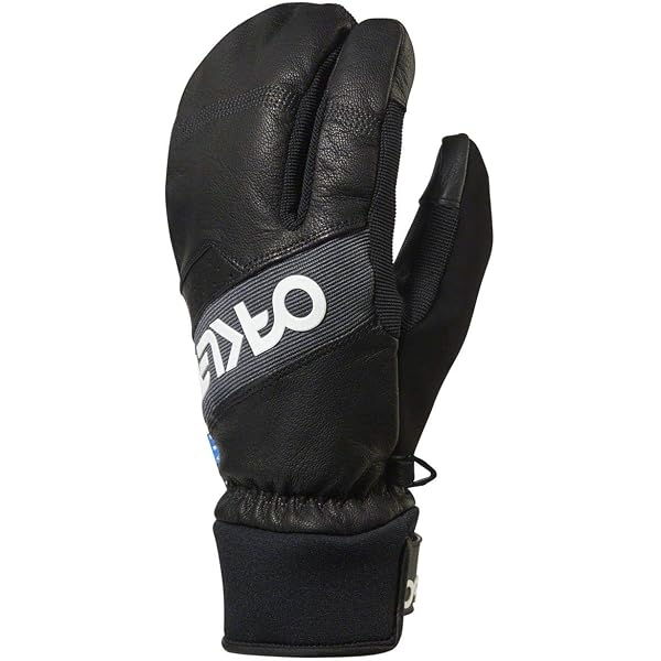 Oakley unisex adult 2.0 Factory Winter Mittens 2 0, Blackout, X