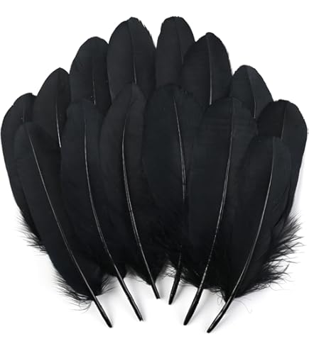 bluee feathers はまく〜ん様 3本おまとめ品 Phoenix Tail Feather : L (