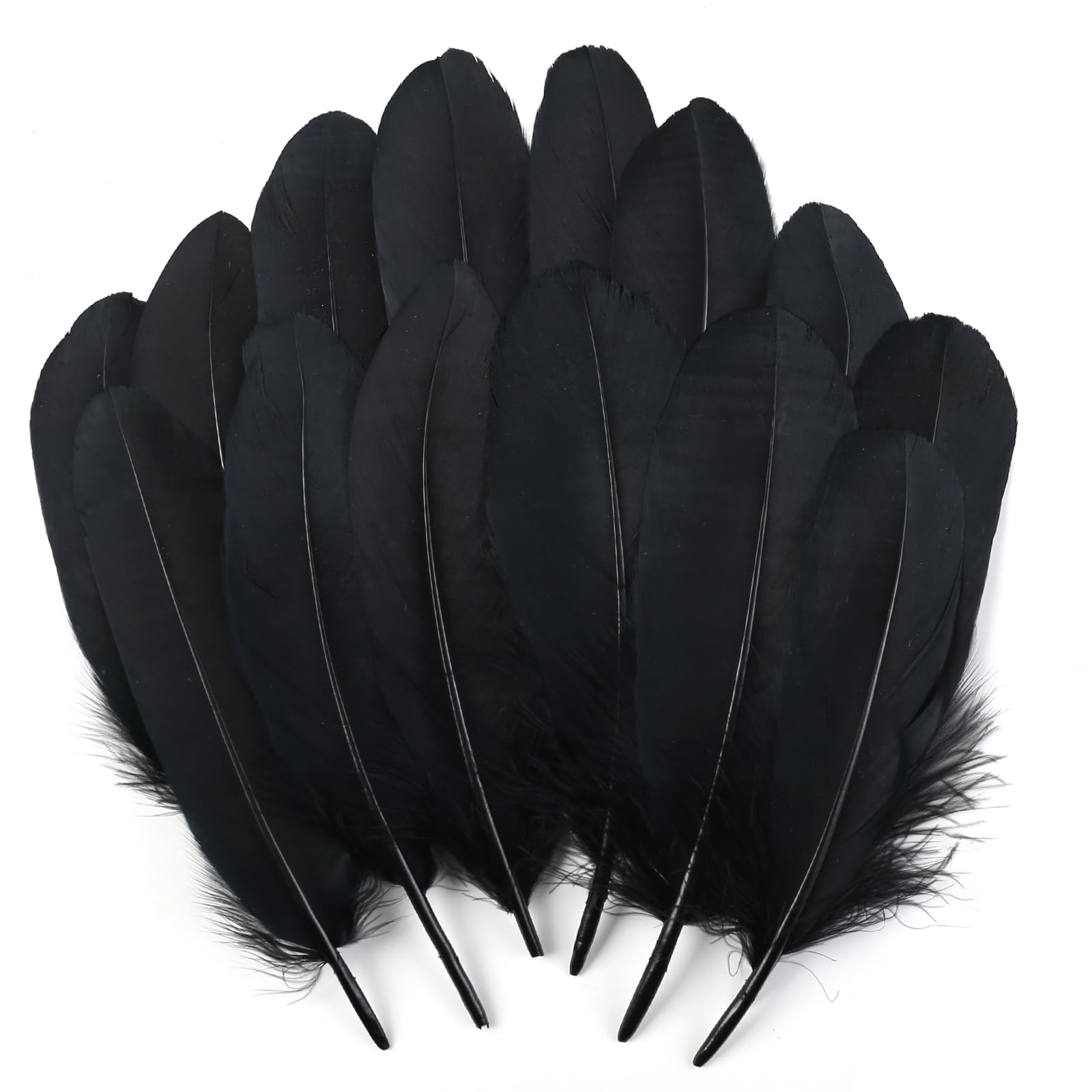 Photo 1 of THARAHT 120pcs Black Goose Feathers Natural Bulk 6-8 inch 15-20cm for Crafts DIY Cosplay Wedding Party Halloween Decoration Goose Nagoire Feathers