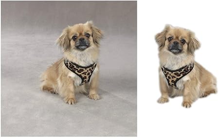 plush dog harness amazon