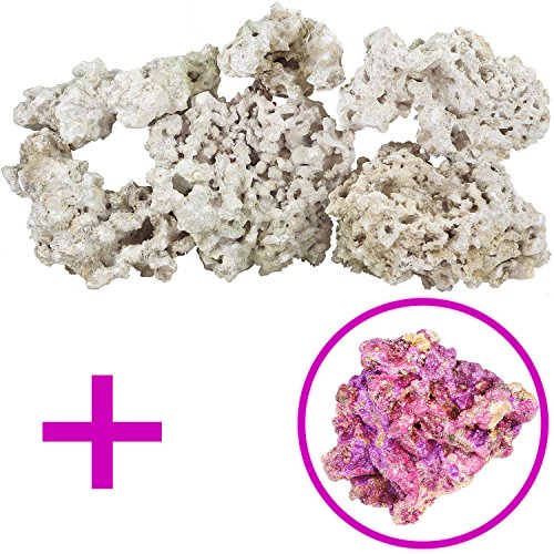ARC Reef Dry Base Rock with Coralline Algae Bonus Rock for Saltwater