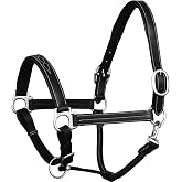 ExionPro Exion Leather Horse Halter, Padded Calfskin Lining &amp; SS Hardware | Triple fancy stitching, vegetable-tanned leather, calfskin padding, solid hardware, adjustable crown &amp; multiple sizes