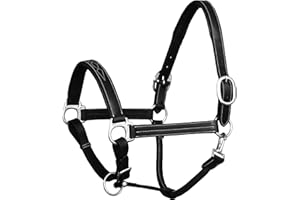 Exion Designer Stitched Padded Cushioned Leather Halter- Silver Buckles | Adjustable Chin and Throat Snap Halter | Replaceabl