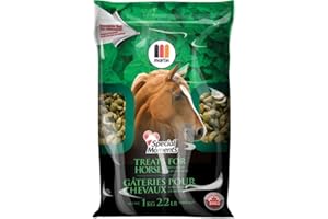 Special Moments Horse Treats, Peppermint Flavour (1kg)