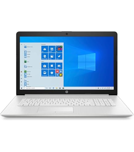 Amazon.com: HP 17-by3065st 17.3