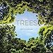 2017 Trees Wall Calendar