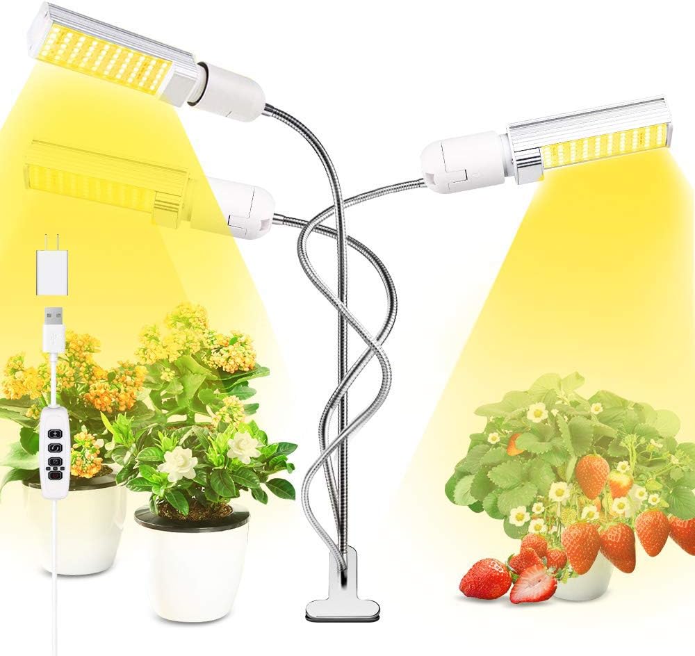 Best led desk lamp with replaceable bulb