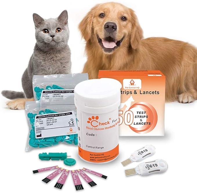 checking a dog's blood sugar