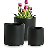 Meowell 8/7/6 inch Plant Pots, 3 Set Cylinder Flower Pots for Outdoor Indoor Plants, Decorative Plastic Planters with Drainage Holes and Saucers for Garden House Plants, Black