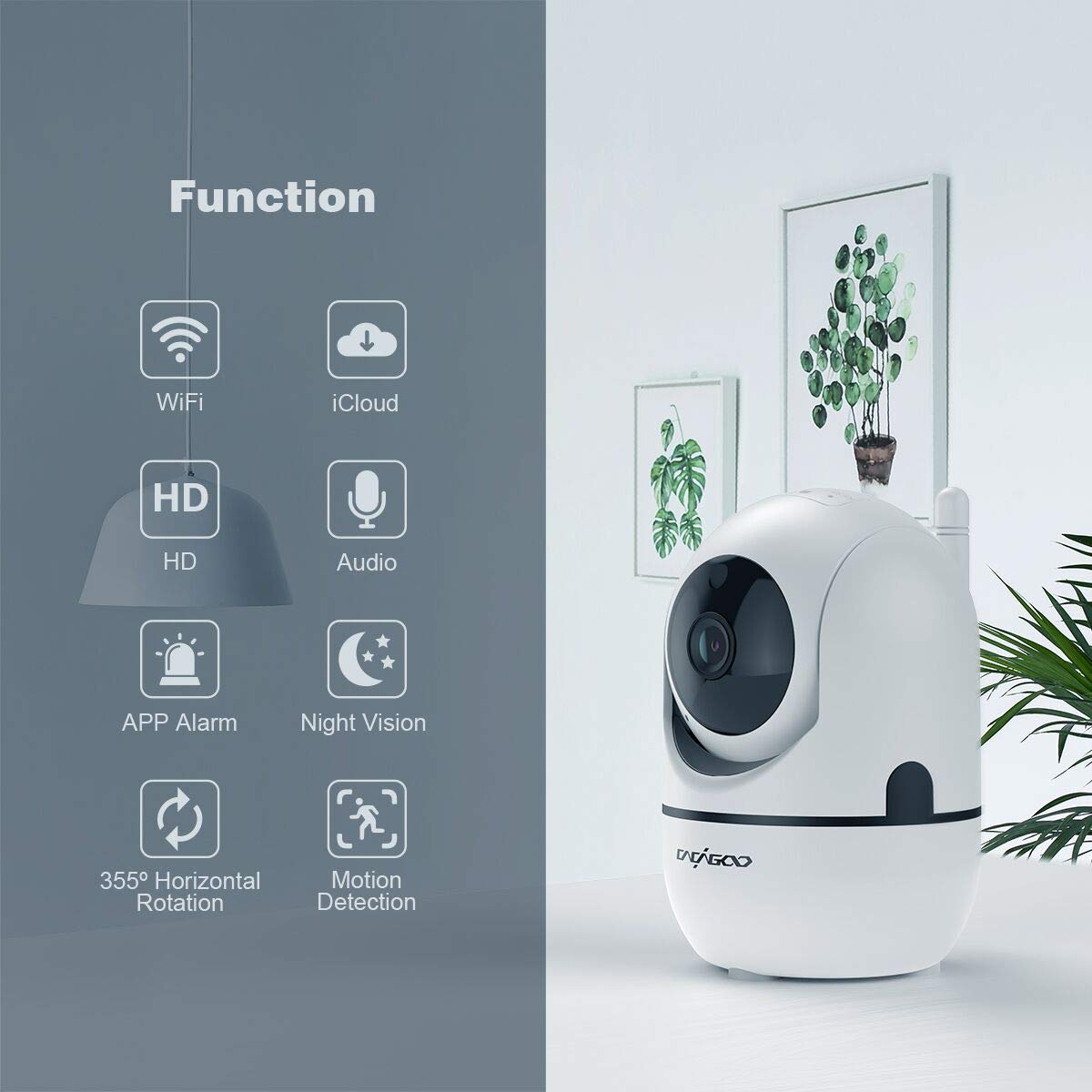 Wifi camera app. Wifi camera app
