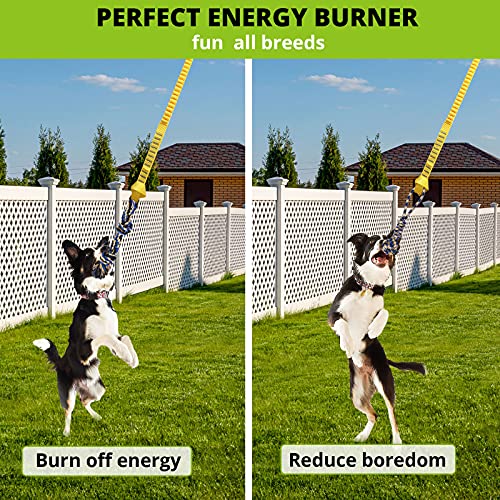 Dog Hanging Bungee Tug Toy Interactive Tether TugofWar for Pitbull