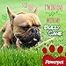 All Natural Bully Sticks Cane 12 inch, FDA & USDA Approved (1)