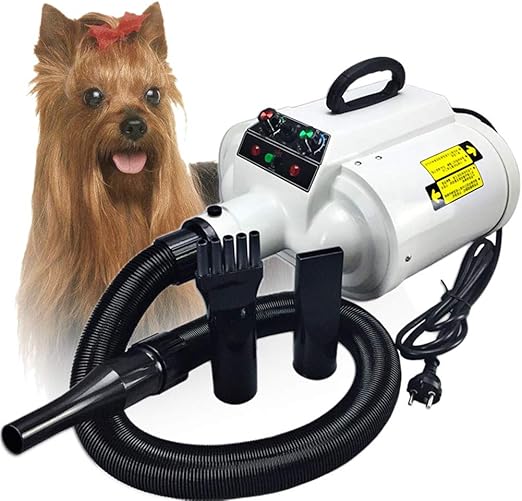 meadow hay for rabbits