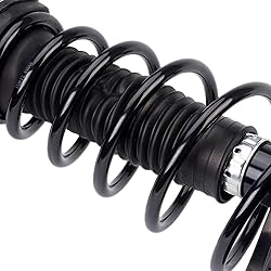 Torchbeam Rear Struts Assembly w/Coil Spring Shocks
