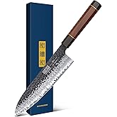 HOSHANHO 8 Inch Japanese Gyuto Chef Knife, 9 Layers 10Cr15CoMoV High Carbon Steel Kitchen Knife, Professional Hand Forged Cooking Knife with Ergonomic Rosewood Handle